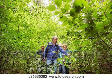 Stock Image - Group of friends, hiking through forest. Fotosearch