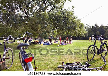 Stock Image - Group of friends partying under park tree at sunset. Fotosearch