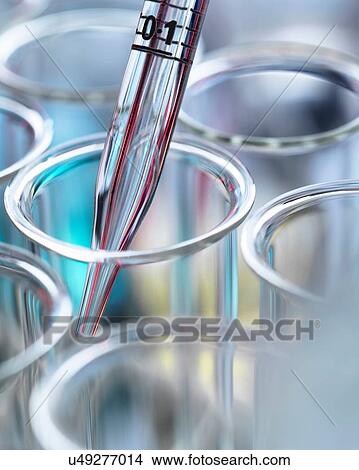 High angle cropped view of graduated pipette pipetting liquid into test tubes View Large Photo Image Picture - High angle cropped view of graduated pipette pipetting liquid into test tubes. Fotosearch