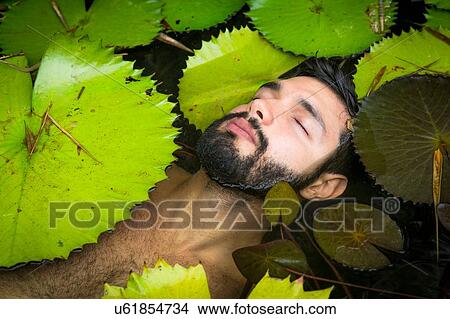 Picture - High angle view of bearded young man floating among lily pads, eyes closed, Taiba, Ceara, Brazil. Fotosearch