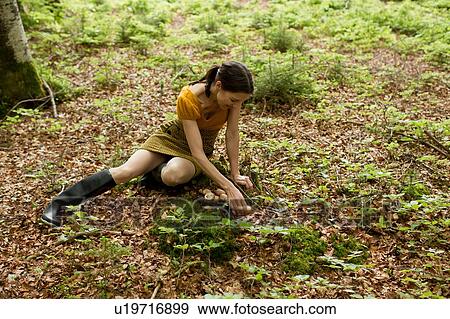 High angle view of mature woman wearing knee length boots sitting on autumn leaves foraging for mushrooms View Large Photo Image Stock Photo - High angle view of mature woman wearing knee length boots sitting on autumn leaves foraging for mushrooms. Fotosearch