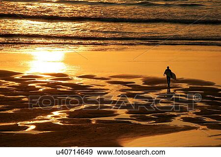 High angle view of surfer on beach walking to ocean carrying surfboard at sunset View Large Photo Image Stock Photo - High angle view of surfer on beach walking to ocean carrying surfboard at sunset. Fotosearch