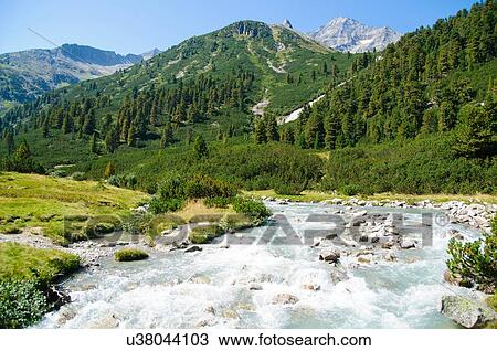 Stock Image - High angle view of tree covered mountain and river running through Zillertal High Alpine nature park, Hochgebirgs Naturpark, Tirol, Austria. Fotosearch