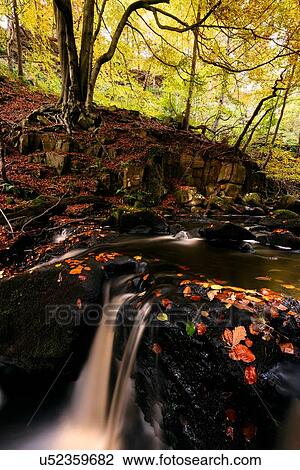 Stock Image - Long exposure of river flowing over rocks in forest, Padley Gorge, Peak District, England, UK. Fotosearch