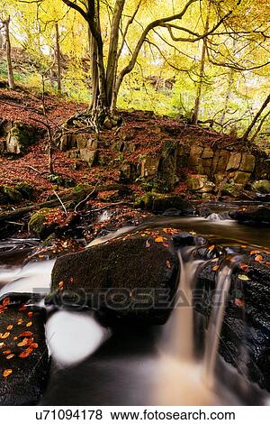 Stock Photo - Long exposure of river flowing over rocks in forest, Padley Gorge, Peak District, England, UK. Fotosearch