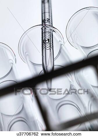 Low angle view of graduated pipette pipetting liquid into test tube View Large Photo Image Stock Image - Low angle view of graduated pipette pipetting liquid into test tube. Fotosearch