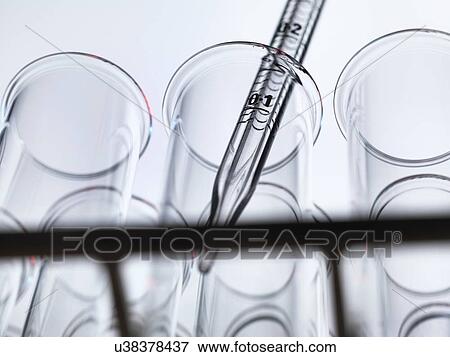 Low angle view of graduated pipette pipetting liquid into test tube View Large Photo Image Stock Photo - Low angle view of graduated pipette pipetting liquid into test tube. Fotosearch