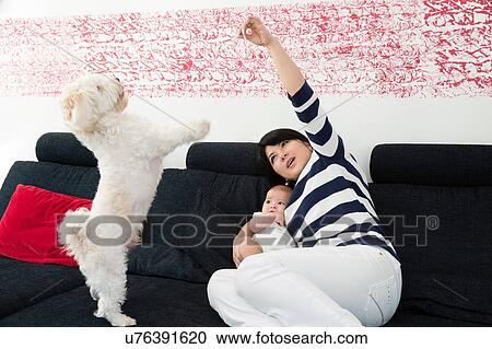 Mature woman and baby granddaughter playing with dog on sofa View Large Photo Image Stock Image - Mature woman and baby granddaughter playing with dog on sofa. Fotosearch