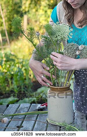 Stock Photo - Mature woman arranging fresh ferns in jar at allotment. Fotosearch