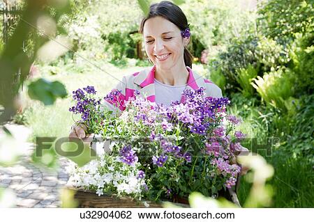 Stock Image - Mature woman carrying wooden crate filled with flowers smiling. Fotosearch
