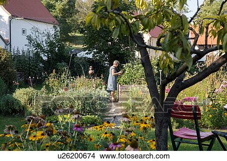Mature woman gardening View Large Photo Image Picture - Mature woman gardening. Fotosearch