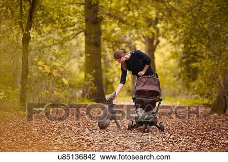 Stock Image - Mid adult mother pushing baby carriage and petting dog in autumn park. Fotosearch