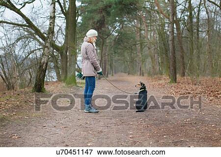 Mid adult woman and her dog in forest View Large Photo Image Stock Photo - Mid adult woman and her dog in forest. Fotosearch
