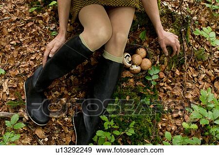 Overhead view of mature woman wearing knee length boots sitting on autumn leaves foraging for mushrooms View Large Photo Image Stock Photo - Overhead view of mature woman wearing knee length boots sitting on autumn leaves foraging for mushrooms. Fotosearch