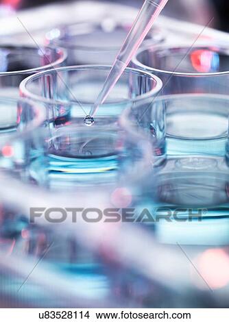 Picture - Pipetting droplets of liquid into multiwell dish. Fotosearch