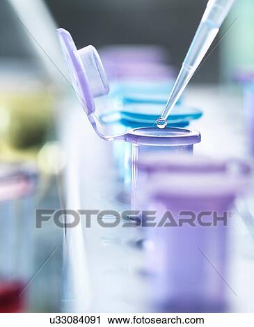 Pipetting droplets of liquid into eppendorf tubes, side view View Large Photo Image Stock Image - Pipetting droplets of liquid into eppendorf tubes, side view. Fotosearch