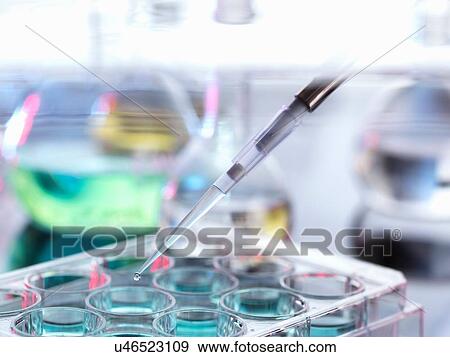 Stock Photo - Pipetting drops of liquid into multiwell dish. Fotosearch