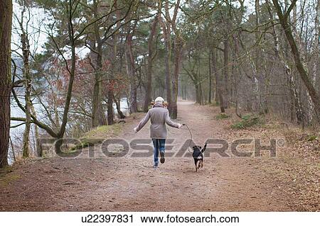 Rear view of woman running with her dog in forest View Large Photo Image Stock Image - Rear view of woman running with her dog in forest. Fotosearch