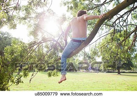 Stock Photo - Rear view of young man looking out from tree in park. Fotosearch
