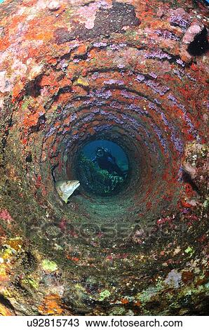 Stock Image - Scuba diving looking through tube in wreckage at resting snapper fish, Chinchorro Atoll, Quintana Roo, Mexico. Fotosearch
