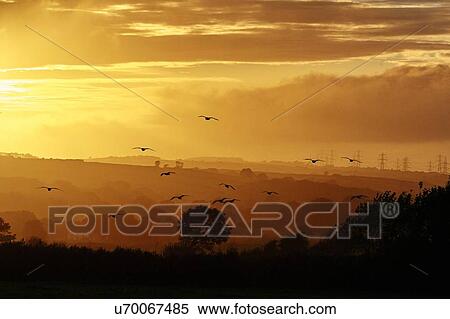 Silhouetted landscape of Lake District at sunset, Cumbria, UK View Large Photo Image Stock Photography - Silhouetted landscape of Lake District at sunset, Cumbria, UK. Fotosearch