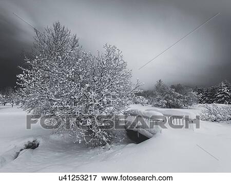 Snow covered bridge and trees against grey sky in botanical gardens, Reykjavik, Iceland View Large Photo Image Stock Photo - Snow covered bridge and trees against grey sky in botanical gardens, Reykjavik, Iceland. Fotosearch