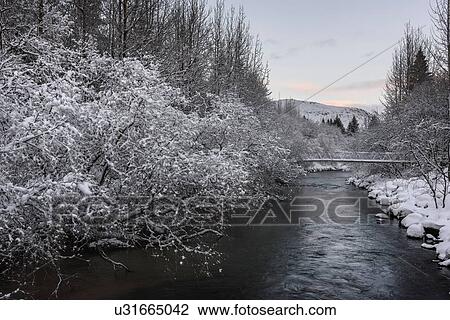 Snow covered bridge over tree lined river, Hveragerdi, Iceland View Large Photo Image Stock Image - Snow covered bridge over tree lined river, Hveragerdi, Iceland. Fotosearch