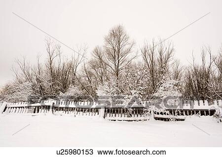 Snow covered fence and trees, Ural, Russia View Large Photo Image Stock Image - Snow covered fence and trees, Ural, Russia. Fotosearch