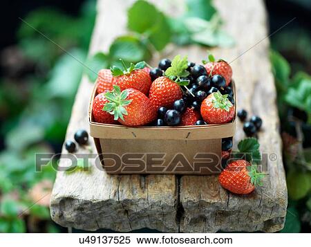 Strawberries and blackcurrants in vintage wooden basket View Large Photo Image Stock Photography - Strawberries and blackcurrants in vintage wooden basket. Fotosearch