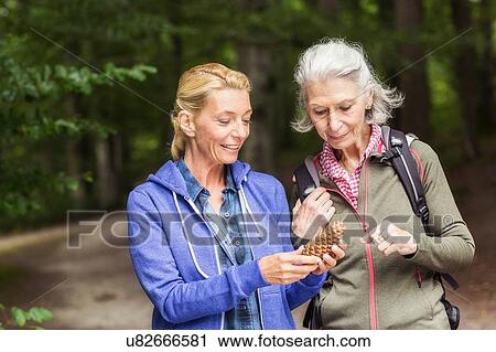 Stock Image - Two women holding pine cone, standing in forest. Fotosearch