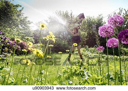 Stock Image - View through flowers of mature woman in garden watering flowers with hosepipe. Fotosearch