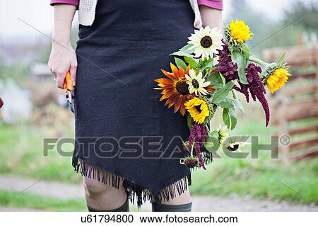 Waist down view of woman cutting fresh flowers at allotment View Large Photo Image Stock Image - Waist down view of woman cutting fresh flowers at allotment. Fotosearch