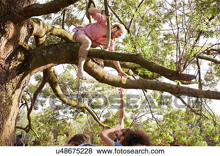 Stock Photo - Young men handing drink to friend in tree at sunset park party. Fotosearch