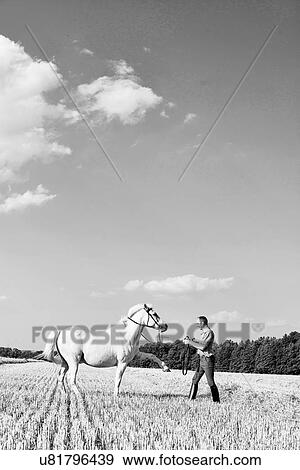 Stock Photo - B&W image of man training white horse in field. Fotosearch