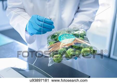 Close up of scientist inspecting food for freshness in laboratory in food packaging printing factory View Large Photo Image Stock Image - Close up of scientist inspecting food for freshness in laboratory in food packaging printing factory. Fotosearch