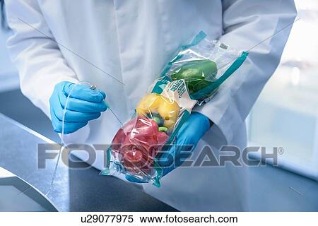 Close up of scientist inspecting food for freshness in laboratory in food packaging printing factory View Large Photo Image Stock Photography - Close up of scientist inspecting food for freshness in laboratory in food packaging printing factory. Fotosearch