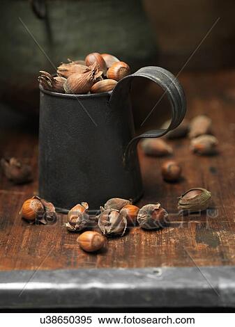 Stock Photography - Cobnuts in vintage metal tankard. Fotosearch