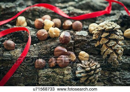 Cropped close up view of hazelnuts and pinecones with red ribbon on rough wooden surface View Large Photo Image Stock Image - Cropped close up view of hazelnuts and pinecones with red ribbon on rough wooden surface. Fotosearch
