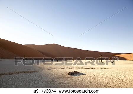 Dead vlei petrified trees. Sossusvlei, Hardap, Namibia View Large Photo Image Picture - Dead vlei petrified trees. Sossusvlei, Hardap, Namibia. Fotosearch