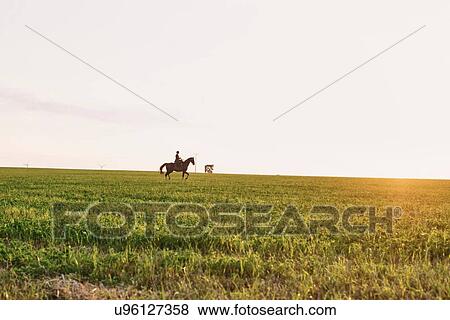 Stock Photo - Distant view of woman riding horse in field. Fotosearch