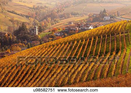 Stock Image - Elevated view of autumn vineyards and village, Langhe, Piedmont, Italy. Fotosearch