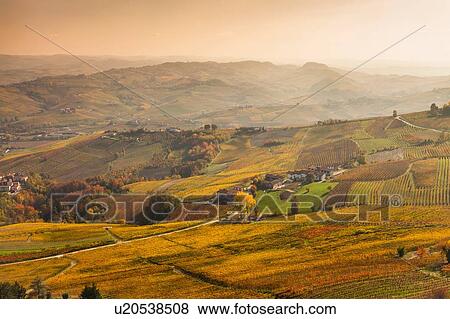 Elevated view of valleys and distant autumn vineyards, Langhe, Piedmont, Italy View Large Photo Image Stock Photo - Elevated view of valleys and distant autumn vineyards, Langhe, Piedmont, Italy. Fotosearch