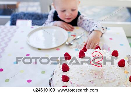Female toddler reaching for birthday cake raspberries at table View Large Photo Image Stock Photo - Female toddler reaching for birthday cake raspberries at table. Fotosearch