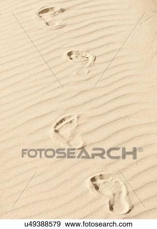 Footprints in sand View Large Photo Image Stock Photo - Footprints in sand. Fotosearch