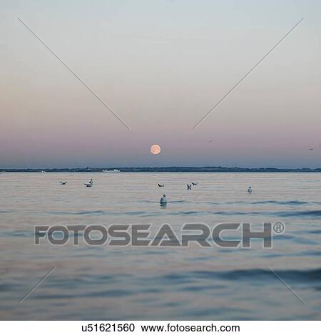 Stock Image - Full moon over sea and horizon at dusk, Humlebaek, Denmark. Fotosearch
