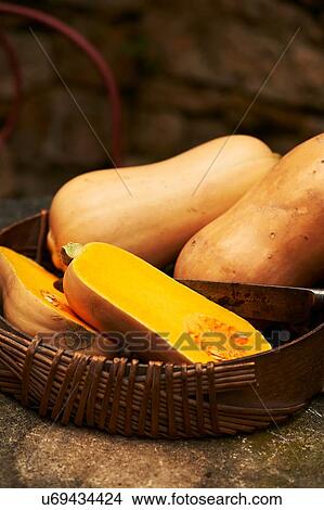 High angle view of halved and whole butternut squash in wick basket View Large Photo Image Picture - High angle view of halved and whole butternut squash in wick basket. Fotosearch