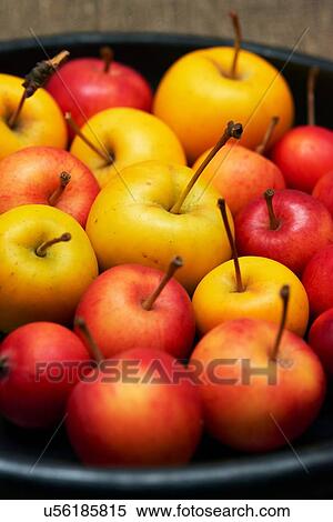 High angle view of plate of red and yellow apples View Large Photo Image Stock Photography - High angle view of plate of red and yellow apples. Fotosearch