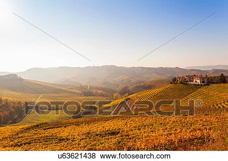 Landscape view with autumn vineyards and hill village, Langhe, Piedmont, Italy View Large Photo Image Stock Photo - Landscape view with autumn vineyards and hill village, Langhe, Piedmont, Italy. Fotosearch