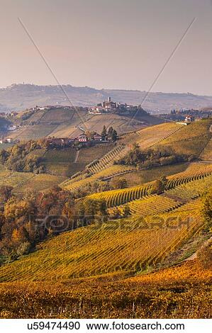 Landscape with autumn vineyards and hill village, Langhe, Piedmont, Italy View Large Photo Image Stock Image - Landscape with autumn vineyards and hill village, Langhe, Piedmont, Italy. Fotosearch