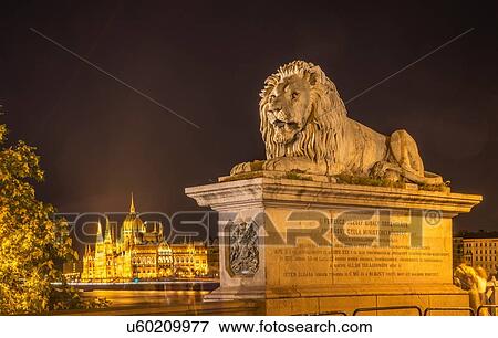 Lion Statue on Chain Bridge, the Parliament in background, at night, Hungary, Budapest View Large Photo Image Stock Photo - Lion Statue on Chain Bridge, the Parliament in background, at night, Hungary, Budapest. Fotosearch
